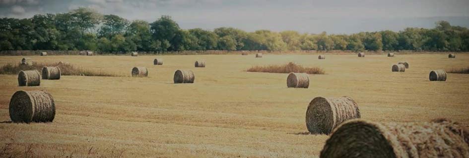 ALLIANCE Grünflächenreifen