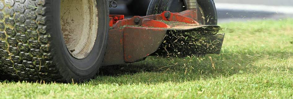 DEESTONE Grünflächenreifen