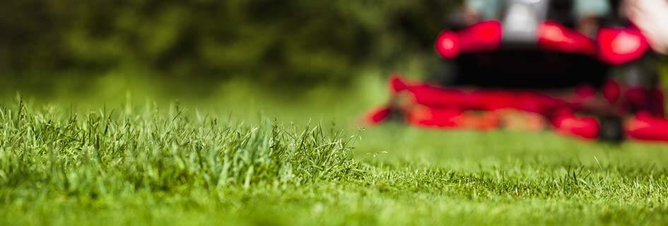 SUN-F Grünflächenreifen