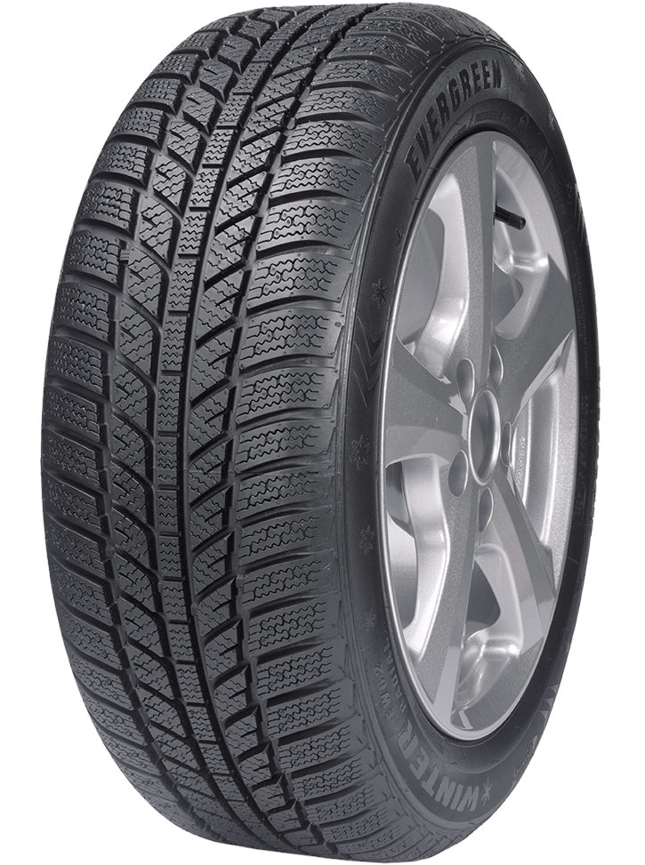 EVERGREEN EW62