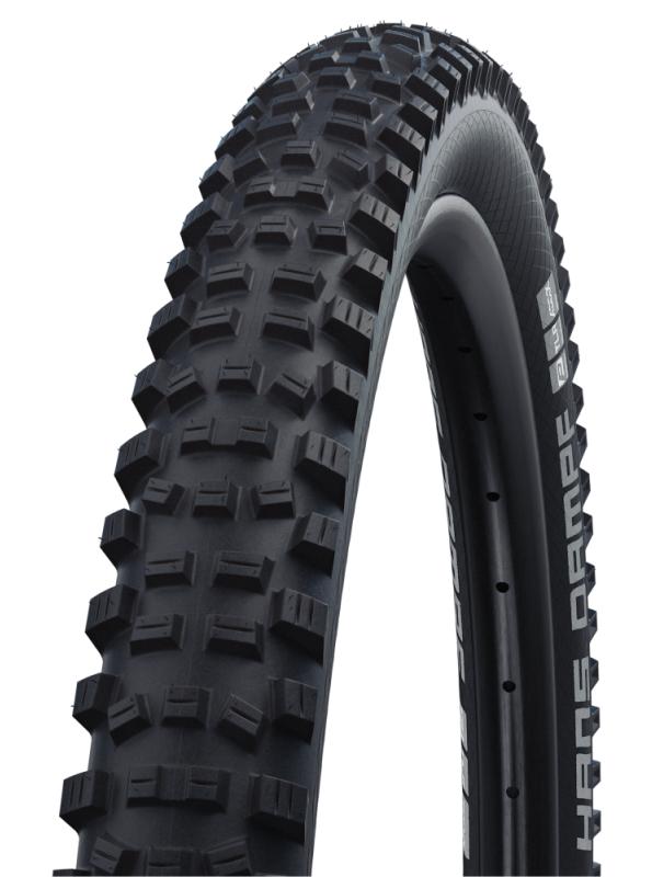 SCHWALBE Hans Dampf HS491