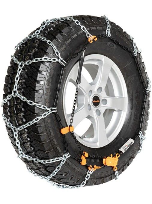 REX TR RTR