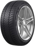 27809350-WinterX TW401