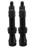 valve tubeless