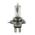 Ampoules