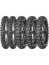 28191485-Terra Force-EF