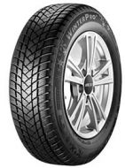 25894435-WinterPro 2