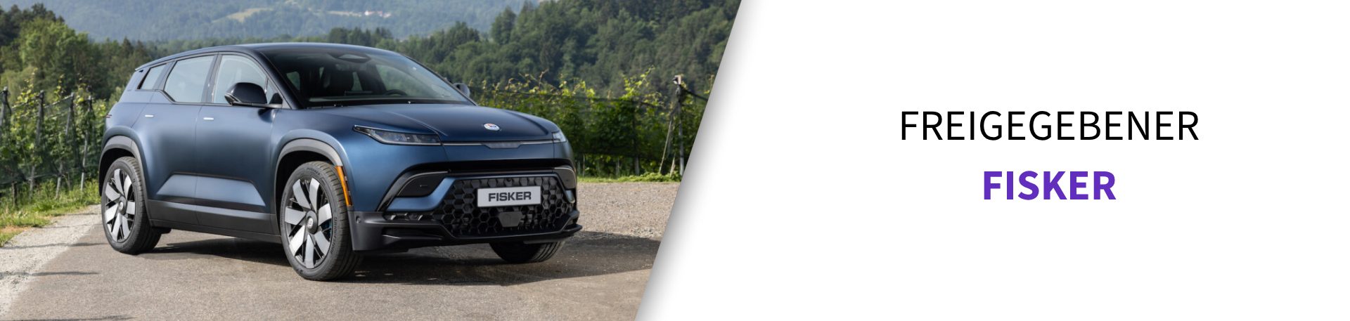 Freigegebener Fisker-Reifen