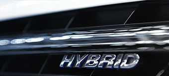 TOP HYBRID!